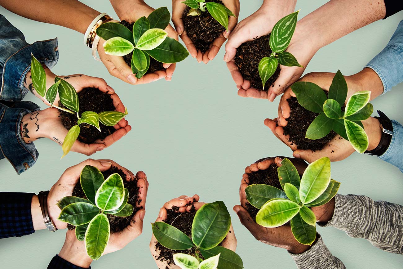 derecho-penal-empresarial